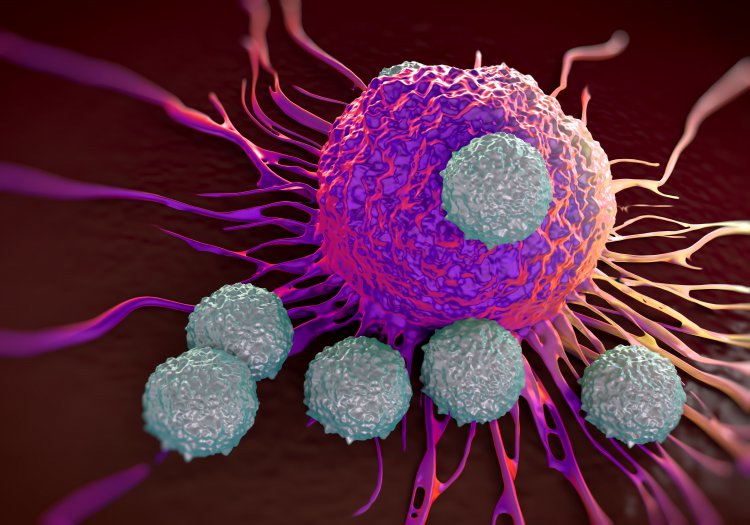 New research optimizes body's own immune system to fight cancer
